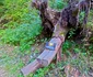 Traseul către Cascada Scoruș din Malaia Vâlcea Foto Daciana Stoica