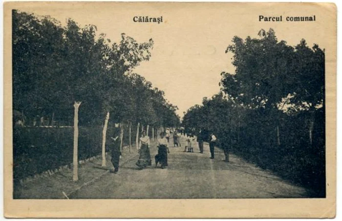 calarasi parc