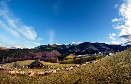 Vaideeni - Vâlcea va avea sat de vacanţă pe crestele montane Ursu şi Ursuleţul Foto Vaideeni