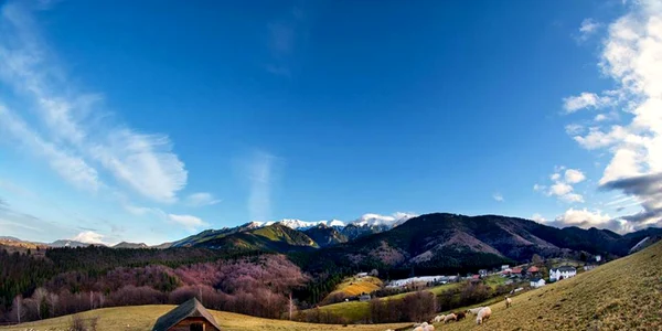 Vaideeni - Vâlcea va avea sat de vacanţă pe crestele montane Ursu şi Ursuleţul Foto Vaideeni
