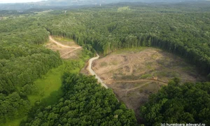 Autostrada Lugoj Deva, tronsonul cu tuneluri Holdea   Margina în șantier, iunie 2024, Foto Daniel Guță (68) JPG