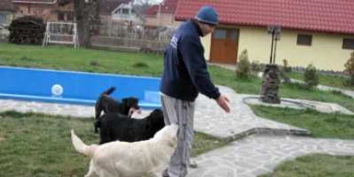 Oradea: Două milioane de euro pentru o clinică veterinară
