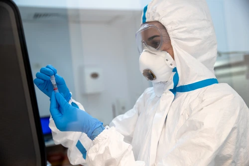 1 ilustratie regina maria jpg jpeg