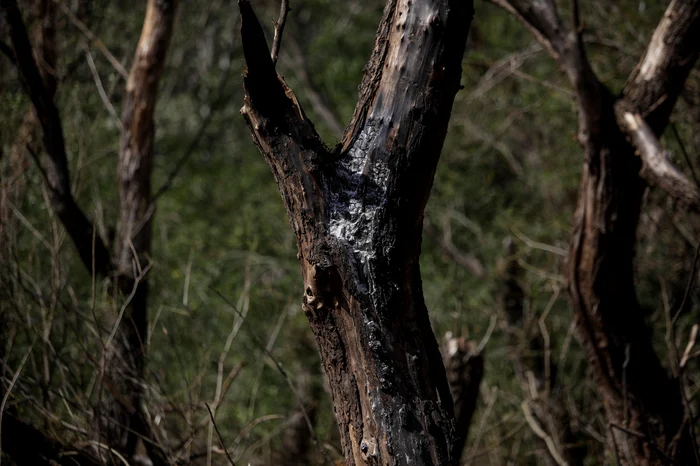 Zona unde drona rusească ar fi explodat Foto: Inquam Photos Ovidiu Micsik