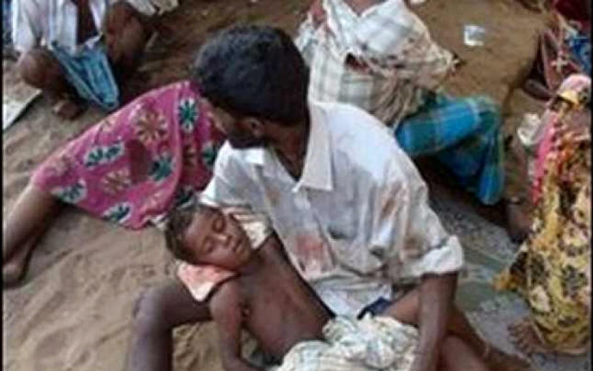 SUA vor pedepsirea crimelor de război în Sri Lanka - Revista presei internaţionale