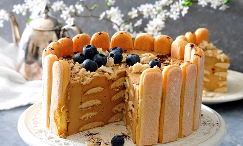 1 sarlota cu ciocolata jpg jpeg