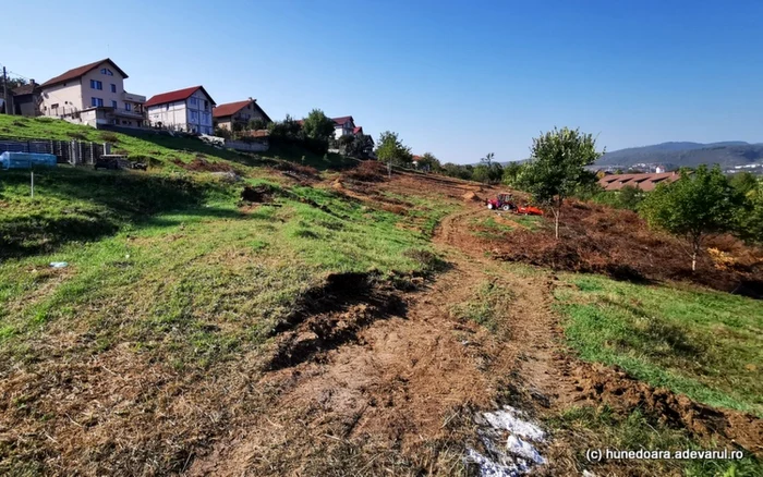 Zona unde au fost atribuite terenurile. FOTO: Daniel Guţă. ADEVĂRUL