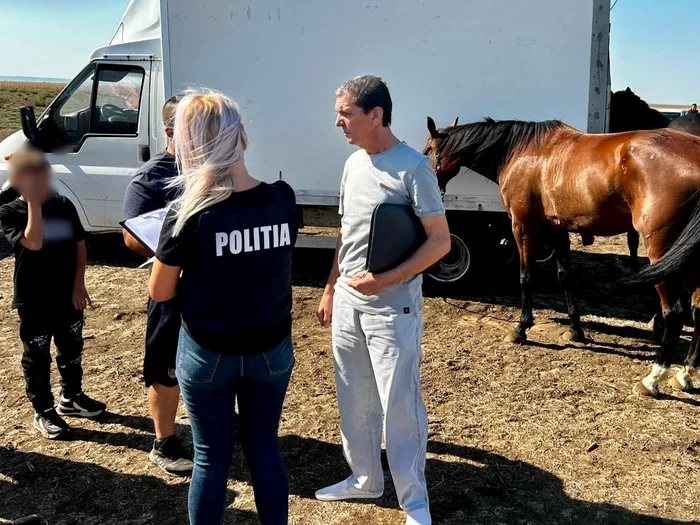 Polițiștii au amendat mai mulți proprietari de cai FOTO: IPJ Olt