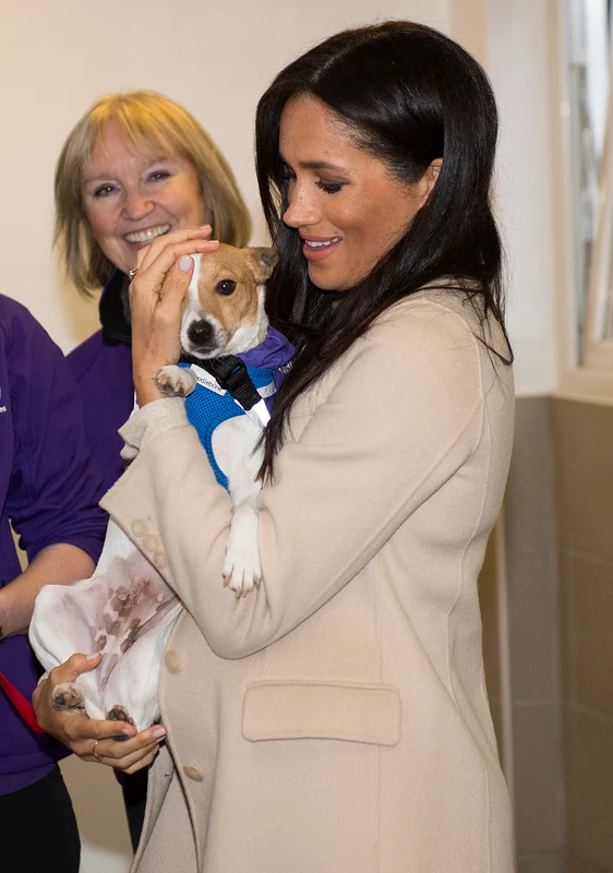 Meghan Markle, o mare iubitoare de câini