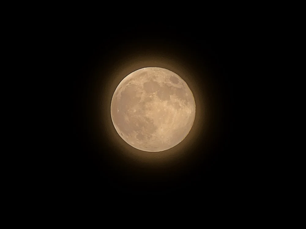 Luna cerbului/sursă foto: arhivă