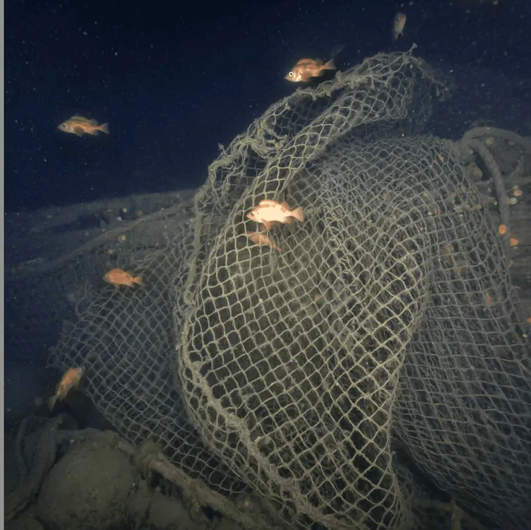 Plase de pescuit de pe Quest (© Canadian Geographic and Voyis)