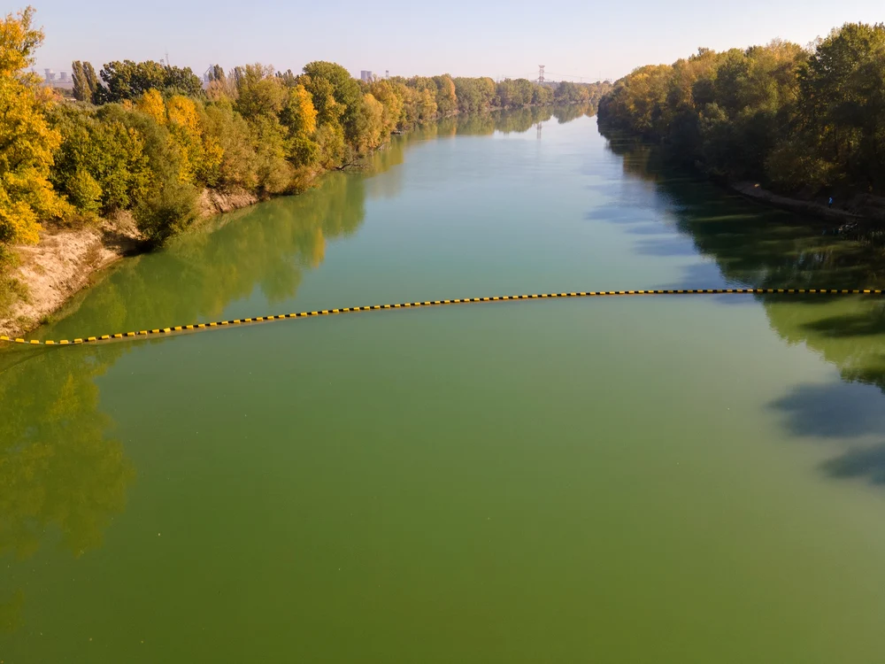 O nuntă întreagă a dispărut în Siret FOTO: Arhivă Adevărul