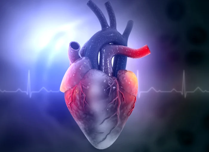 Excesul de fier poate cauza problemeFoto: Shutterstock