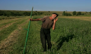 Primul cincinal în Uniune jpeg