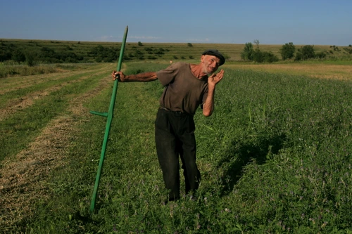 Primul cincinal în Uniune jpeg