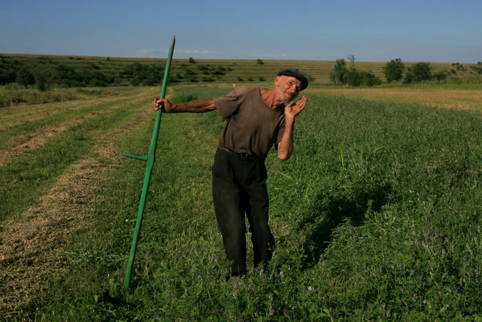 Primul cincinal în Uniune jpeg