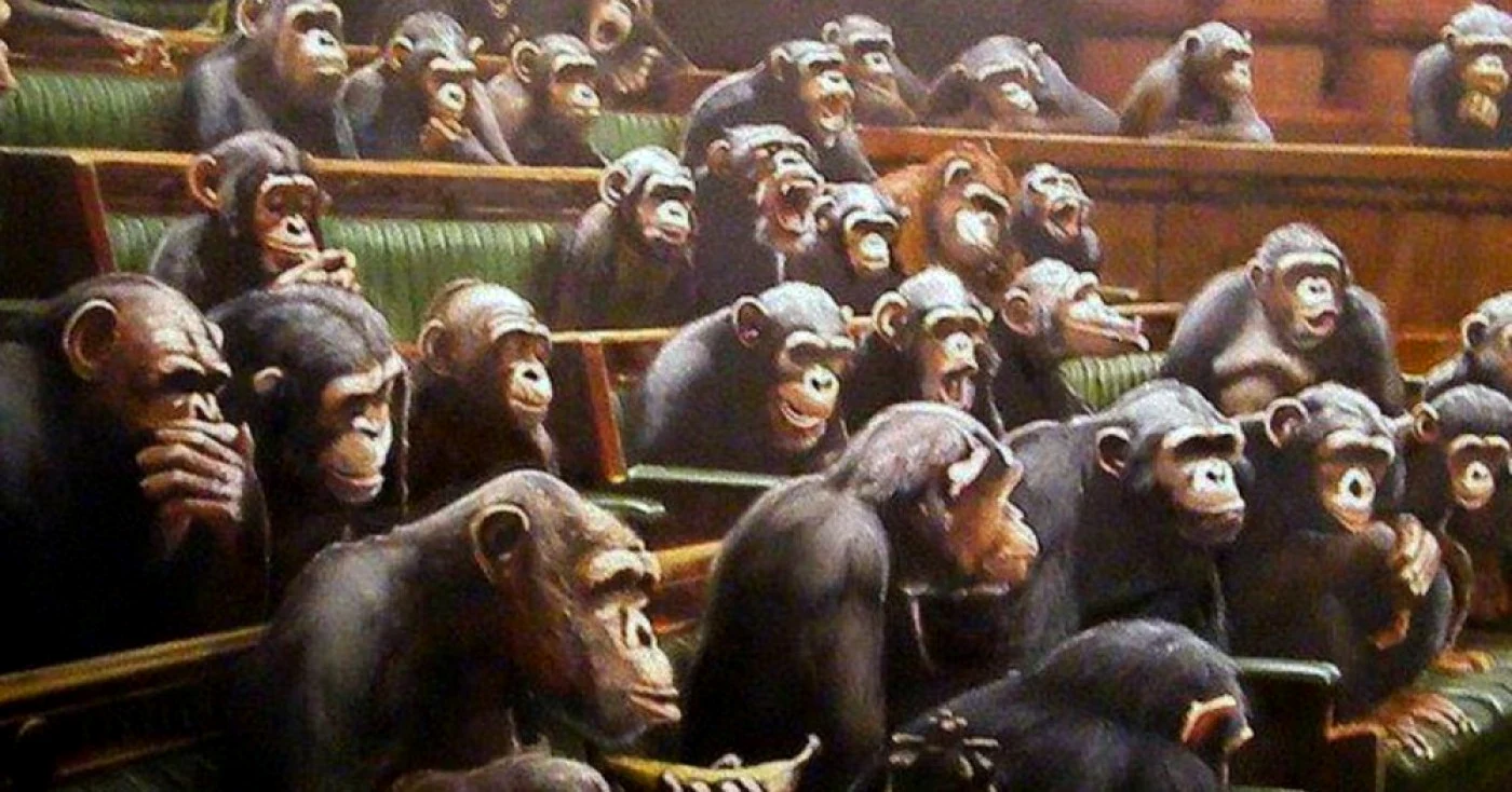 maimute in parlament