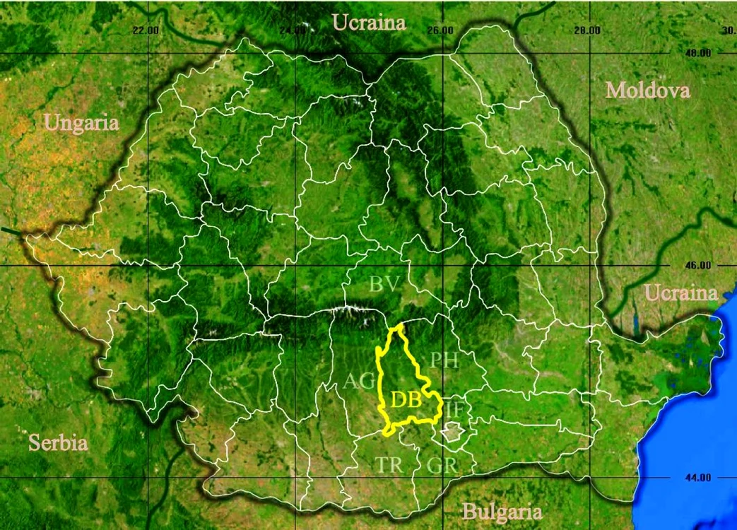 Dacă iniţiativa legislativă va găsi susţinere în Parlament, comunele din România vor fi împărţite în două categorii: comune poli-regionali şi alte comune