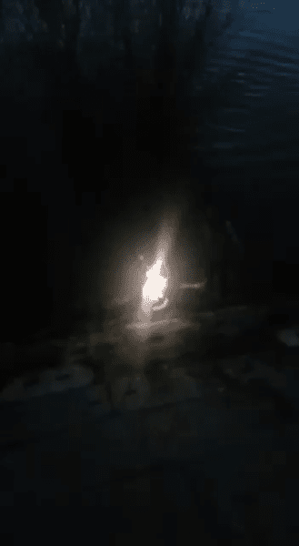 O tânără de 22 ani s-a aruncat în Dunăre. Polițiștii au salvat-o la timp. Ce s-ar ascunde în spatele gestului  VIDEO