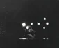 Bob Geldorf a cântat la Bucureşti în 1981 FOTO Cătălin Duţă/Blog Mara Popa