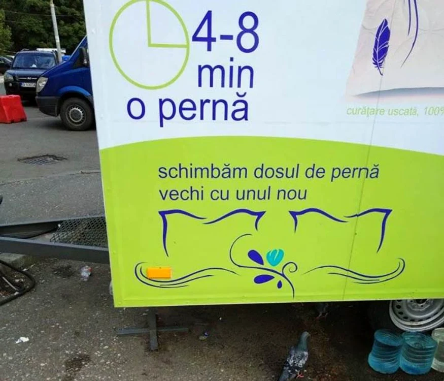 serban georgescu perne jpg jpeg