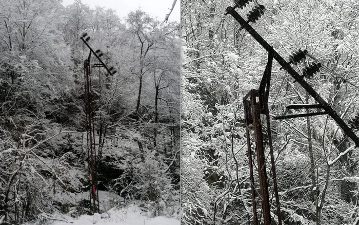 copaci prabusiti la rausor foto salvamont hunedoara