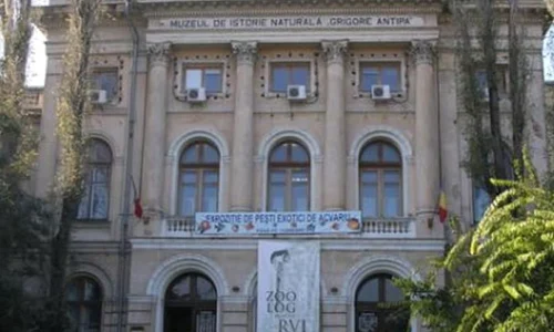 Muzeul Antipa se va redeschide în prima săptămână din noiembrie jpeg