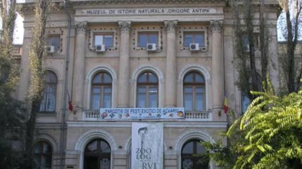 Muzeul Antipa se va redeschide în prima săptămână din noiembrie jpeg