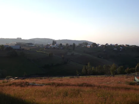 marisel cluj