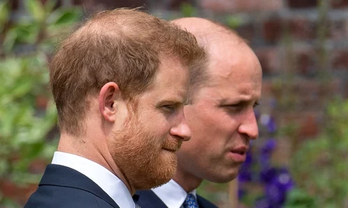 5 printii william si harry la dezvelirea statuii diana2 jpg jpeg