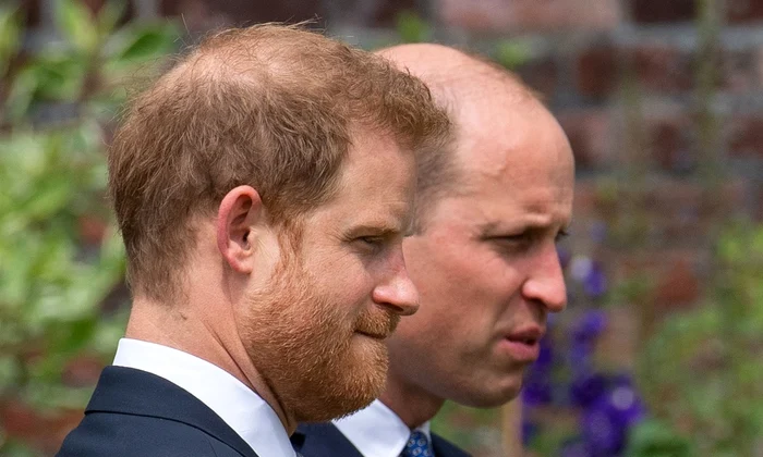 5 printii william si harry la dezvelirea statuii diana2 jpg jpeg