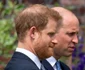 5 printii william si harry la dezvelirea statuii diana2 jpg jpeg