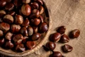 castane istock jpg