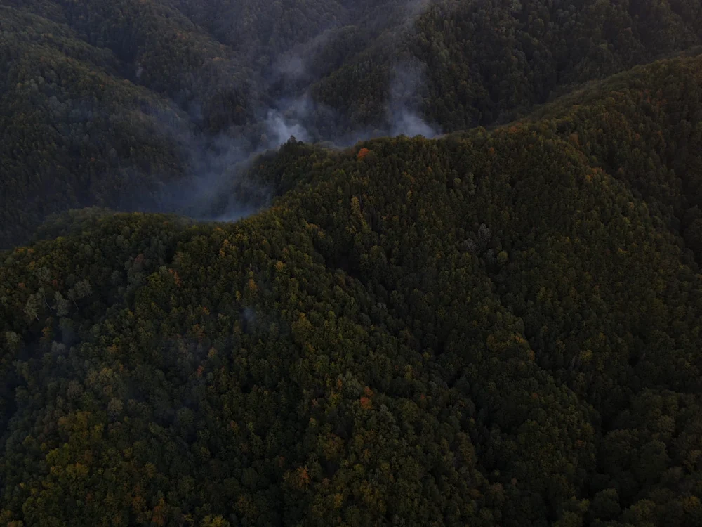 Incendii de vegetație în două județe din România