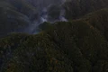 incendiu de vegetatie 2 jpeg