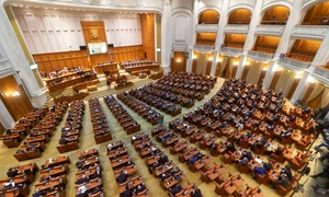 Parlament Romania Camera Deputatilor FOTO Shutterstock