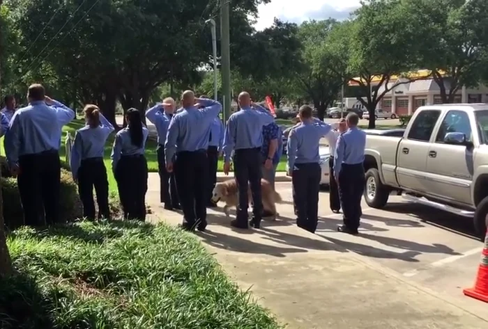 
    Bretagne a fost eutanasiată luni, 6 iuniefoto: captură  
