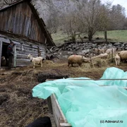 Cheile Cibului  Foto Daniel Guță ADEVĂRUL (79) JPG