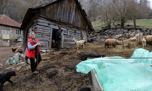 Cheile Cibului  Foto Daniel Guță ADEVĂRUL (79) JPG