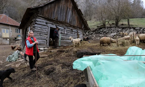 Cheile Cibului  Foto Daniel Guță ADEVĂRUL (79) JPG