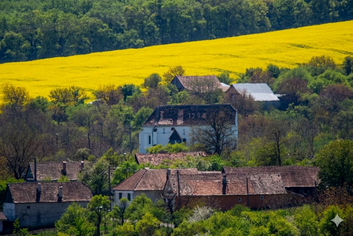 Biserica veche din Păuca  Foto Claudiu Nelega jpg