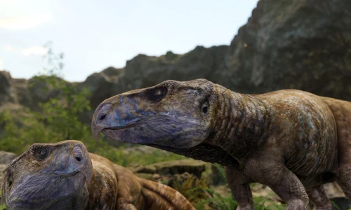 dinozauri ceratopsieni unibuc geoparcul unesco tara hategului universitatea din bucuresti webp