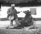 Urşii folosiţi ca terapie pentru durerea de spate în România, anul 1946 jpeg
