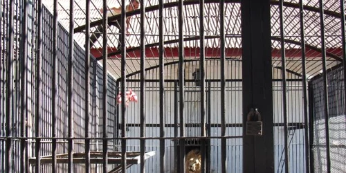 Animalele primesc mult mai puţină mâncare faţă de anii anteriori