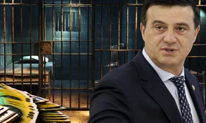 cub niculae bădălău png