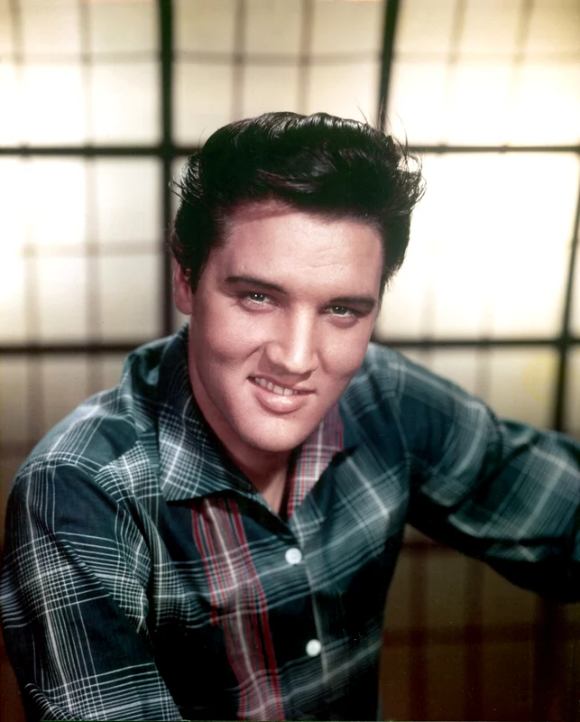 elvis 3 profi jpg