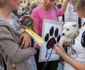 protest anti-eutanasiere cluj