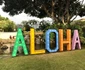 Raluca Lazarut Horatiu Boeriu vacanta Hawaii (41) jpeg