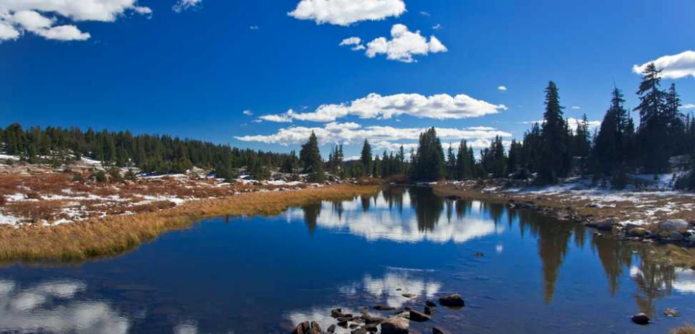 Parcul Yellowstone FOTO Shutterstock 