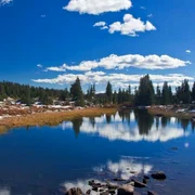 Parcul Yellowstone din SUA. shutter
